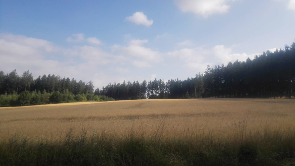 Česko musí změnit hospodaření s půdou kvůli suchu